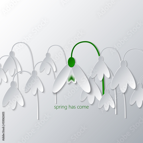 paper snowdrop