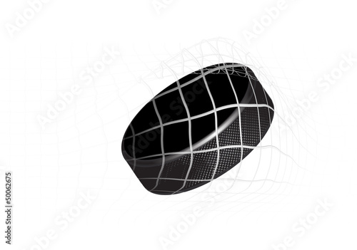 Hockey Puck