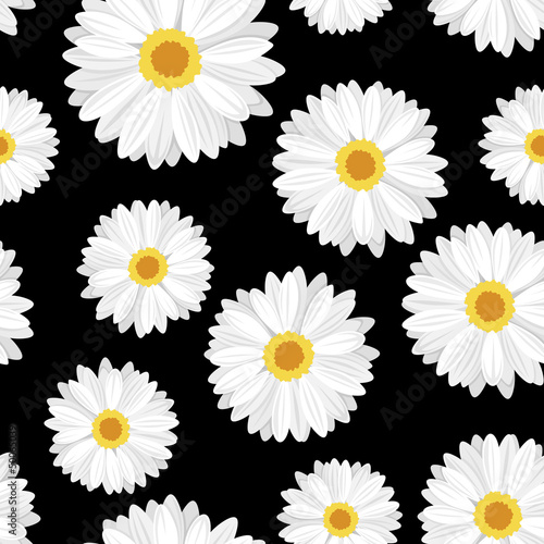 Seamless background with daisy flowers on black. Vector.