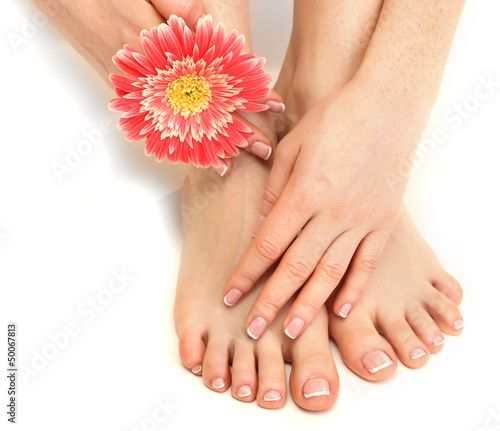 Beautiful woman legs and hands  isolated on white