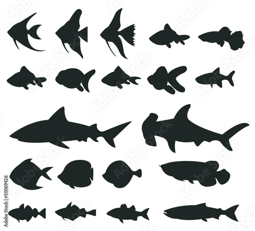 Sets of silhouette Fishes 1