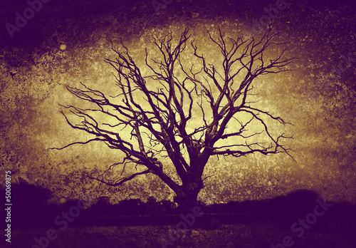 dark bare tree © INFINITY