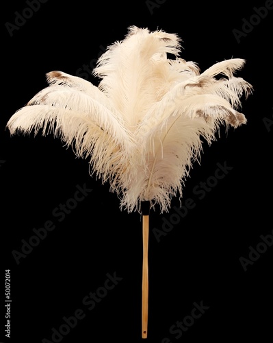 Feather Duster photo