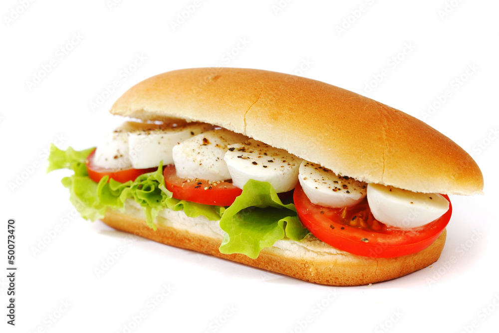Sandwich with mozzarella tomato and salad Sandwich with mozzarella tomato and salad