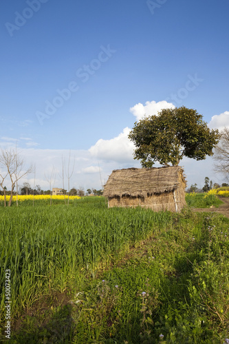 Punjabi straw hut