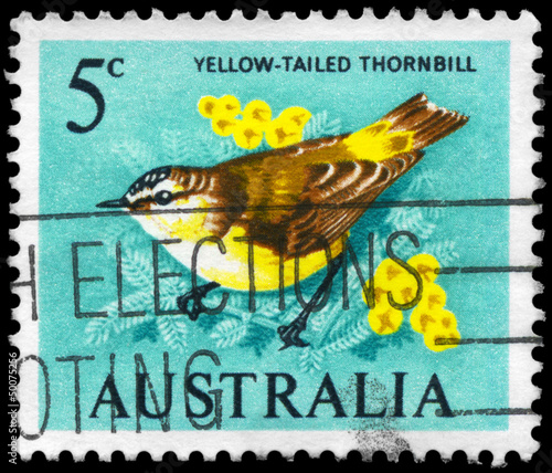 AUSTRALIA - CIRCA 1964 Thornbill