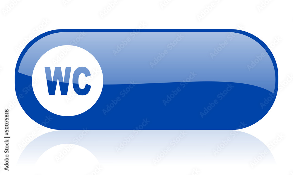 wc blue web glossy icon
