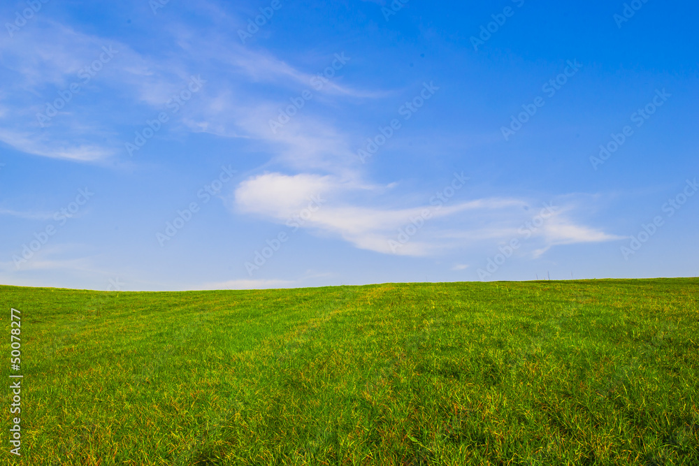 Obraz premium sfondo