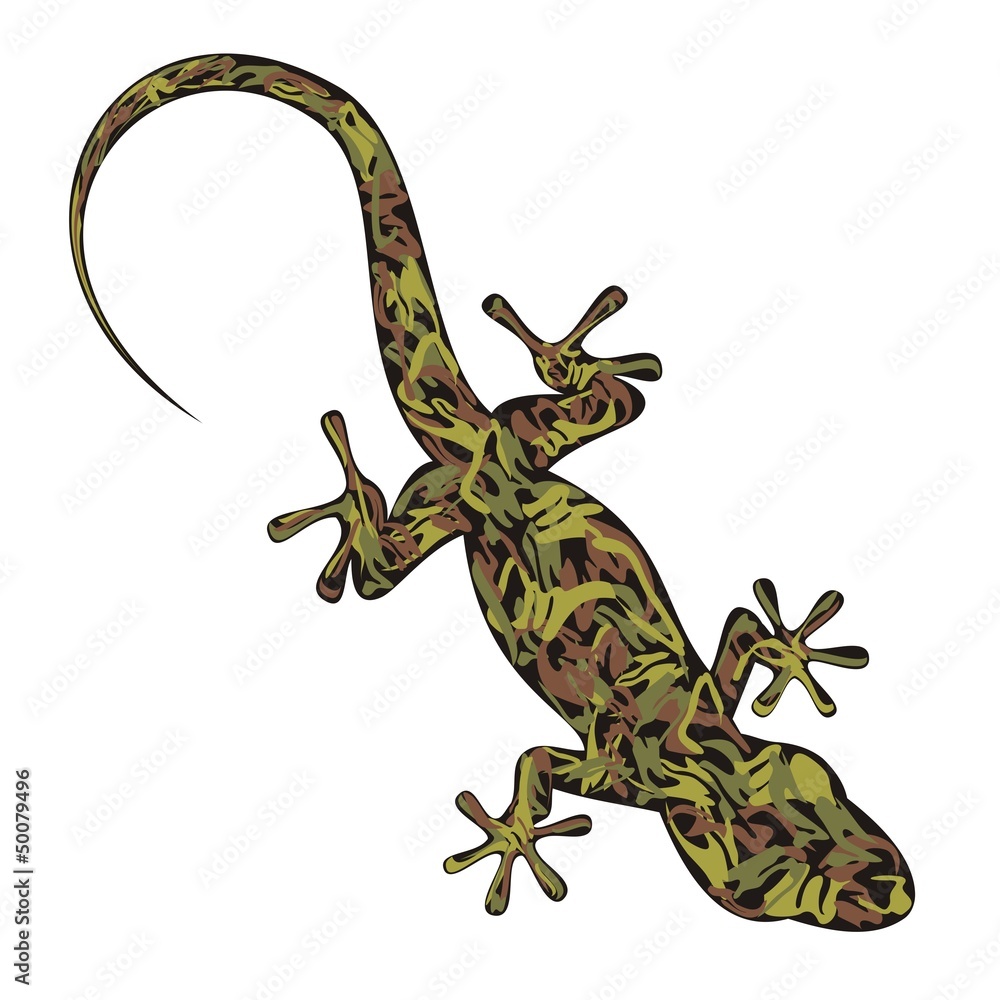 Naklejka premium Salamandra_5