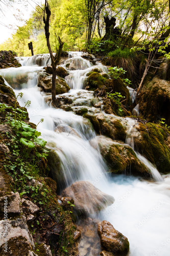 Whitewater running in the forest. Plitvice Lakes National Park, Whitewater running in the forest. Plitvice Lakes National Park,