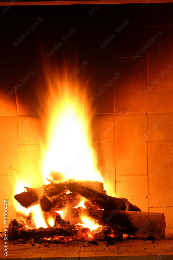 Fototapeta premium Fireplace
