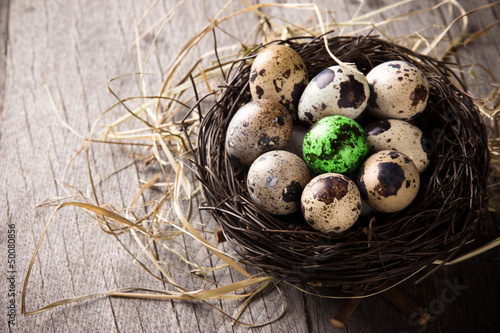 Quail eggs