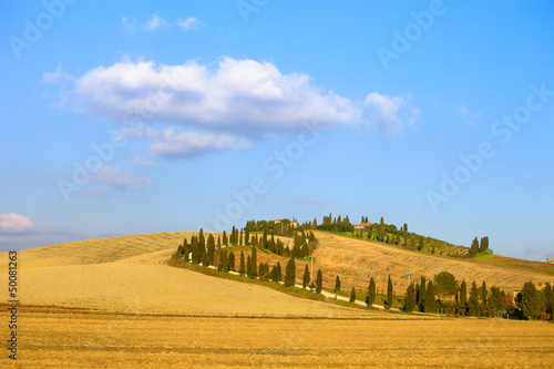 Tuscany, Crete Senesi farmland, cypress tree and fields. Italy.