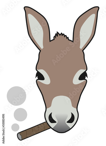 Smoke donkey