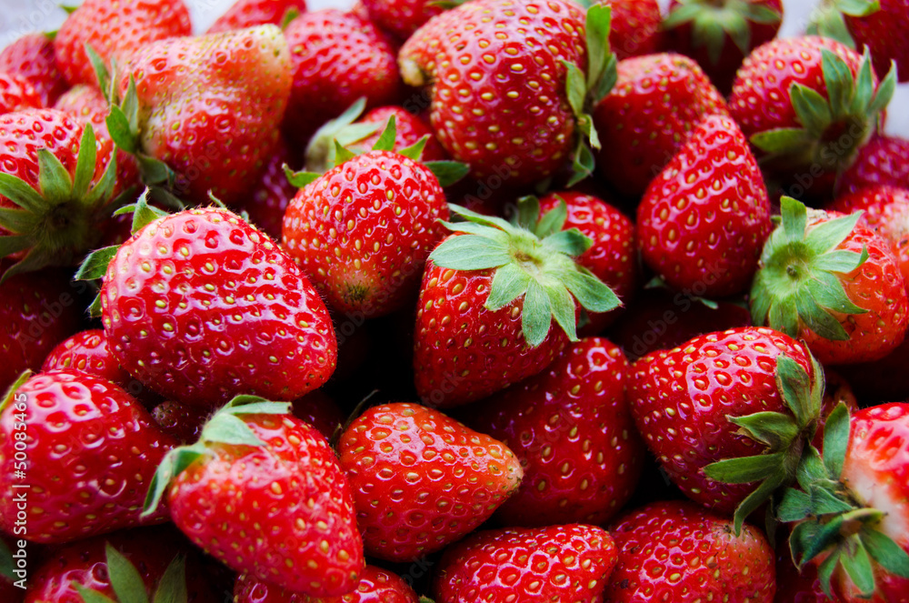 Fresh strawberry from farm Fresh strawberry from farm