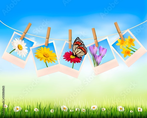 Nature background with photo with flowers and butterfly. Vector