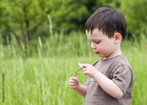 Portrait of a toddler child holding a daisy at grass meadow.
