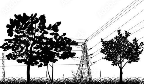electrical pylon between trees isolated on white