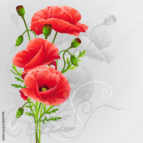 Fototapeta Naklejka Na Ścianę i Meble -  Red poppies on a gray background