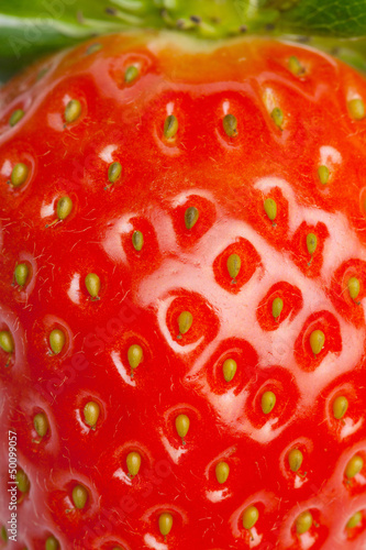 Wallpaper Mural Food Background - Strawberry Torontodigital.ca