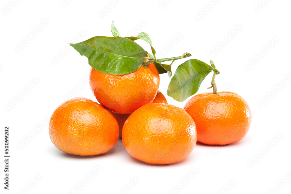 Bunch of clementines, mandarines, tangerines Bunch of clementines, mandarines, tangerines