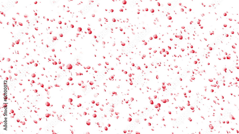 Falling Sakura Petals Cherry Blossoms Animation Cherry Blossoms Falling Sakura Petals Cherry Blossoms Animation Cherry Blossoms
