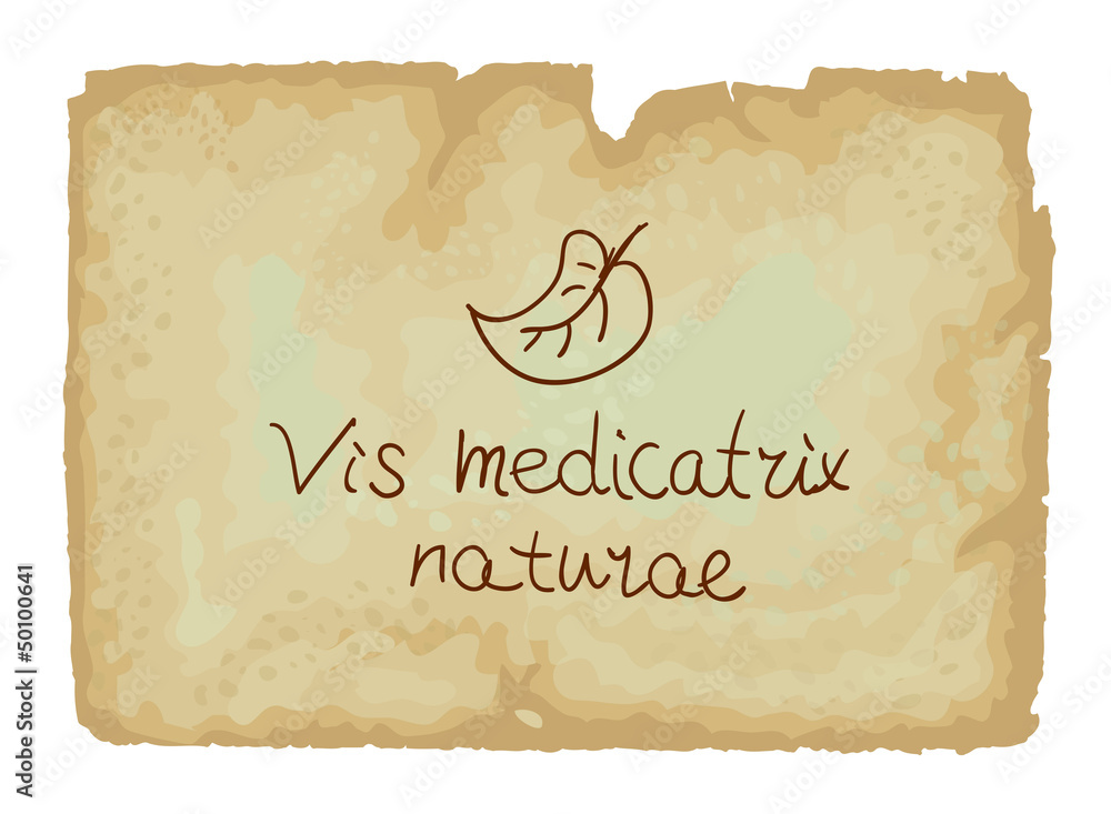 Vis medicatrix naturae - Each person's inner healing power Stock Vector |  Adobe Stock