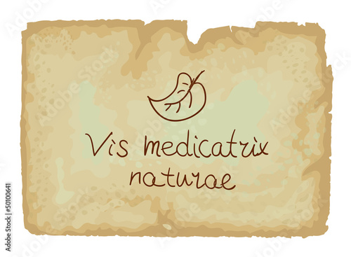 Vis medicatrix naturae - Each person's inner healing power