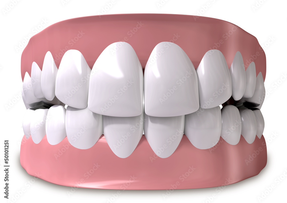 Teeth And Gums Closed Teeth And Gums Closed