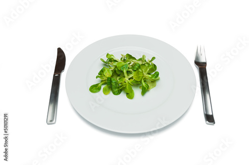 bird salad on a plate, extreme dieting, isolated