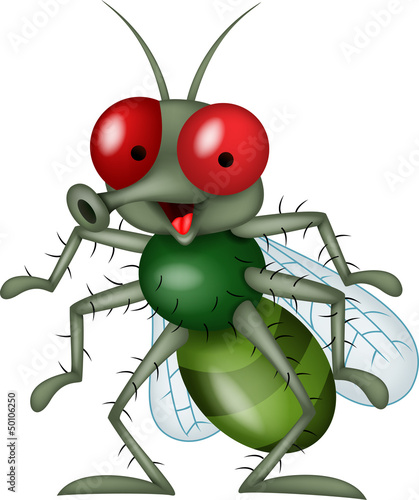 Smiling fly cartoon