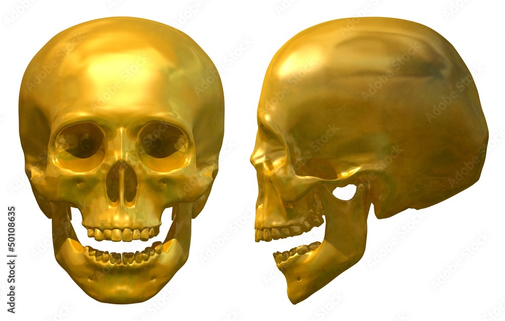 Obraz premium Golden Skull