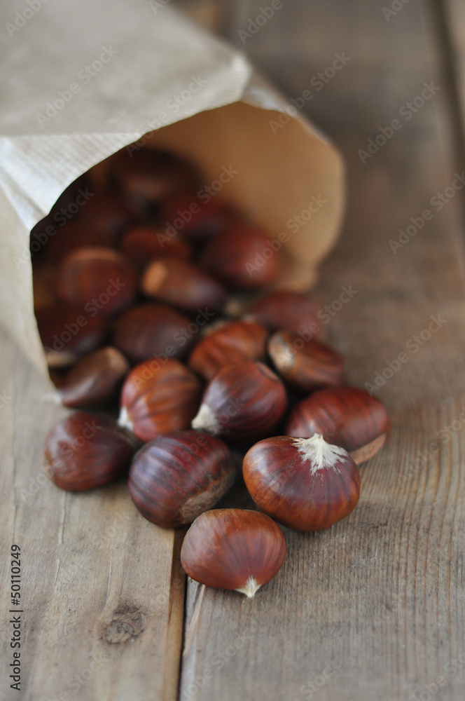 Fototapeta premium Chestnuts