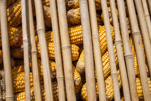 Dried corn in the bamboo storage