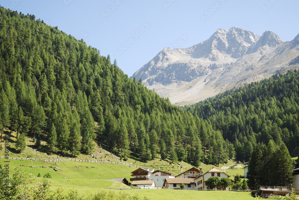 Obraz premium Alps in the Vinschgau