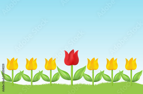 meadow of tulips
