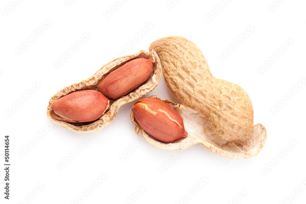 Peanuts isolated on white background Peanuts isolated on white background