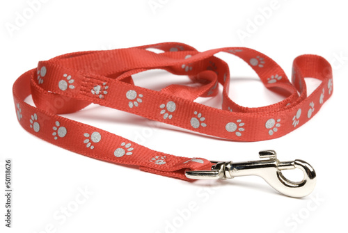 Принти на полотні Dog lead or leash with paw print pattern on white.