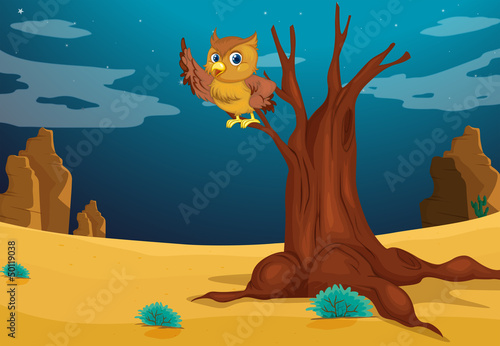 An owl above a tree