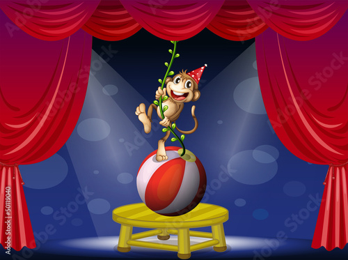 A monkey performing at the circus