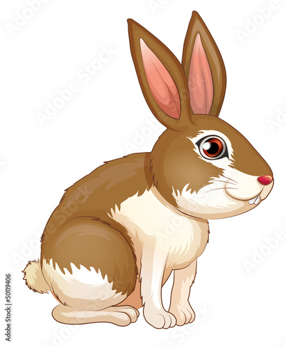 A fat brown rabbit