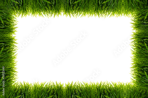 green grass full frame