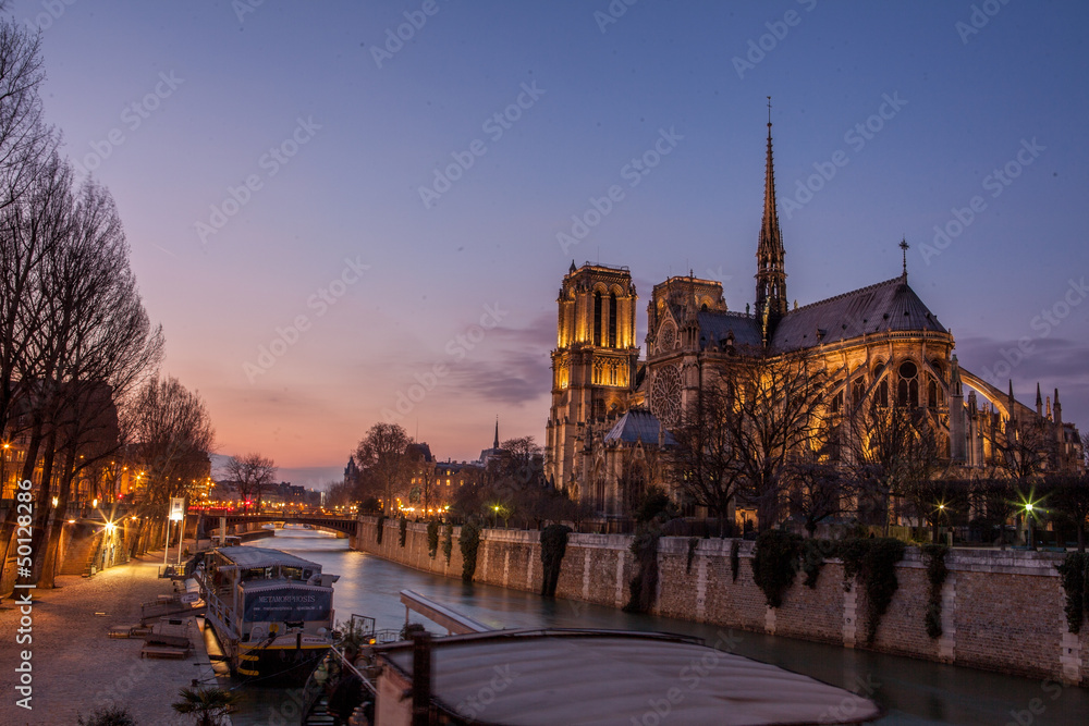 Fototapeta premium notre dame