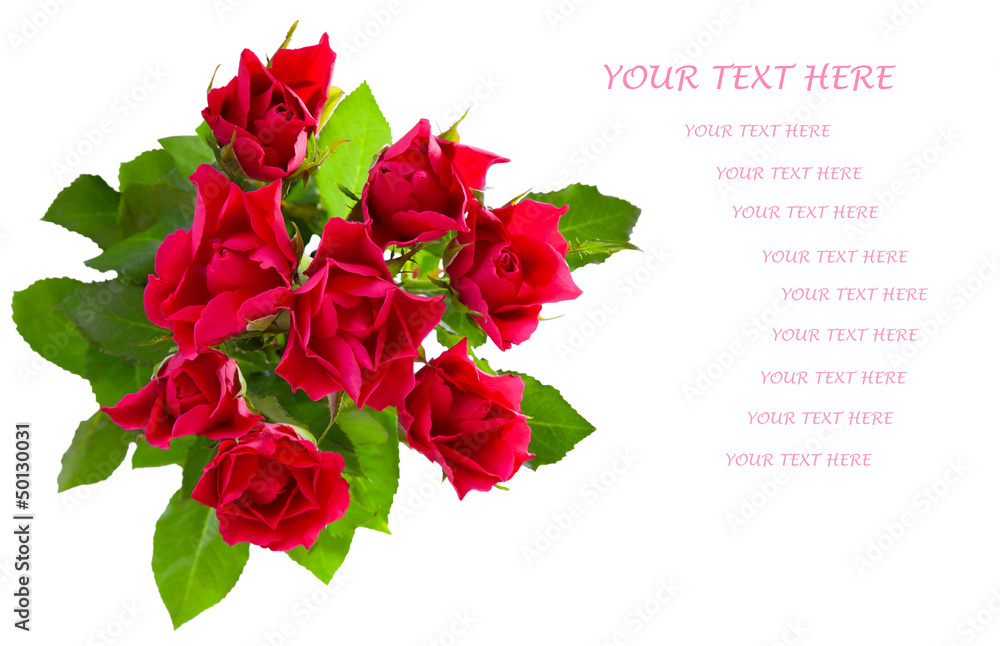 Top view of  red roses bouquet isolated on white