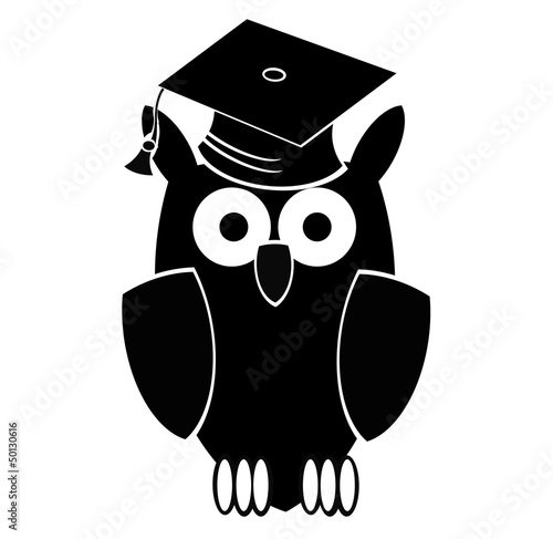 studied owl