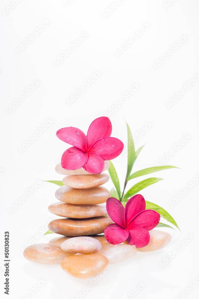 Red frangipani flowers on yellow river stones