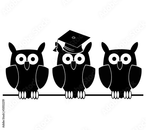 student owl