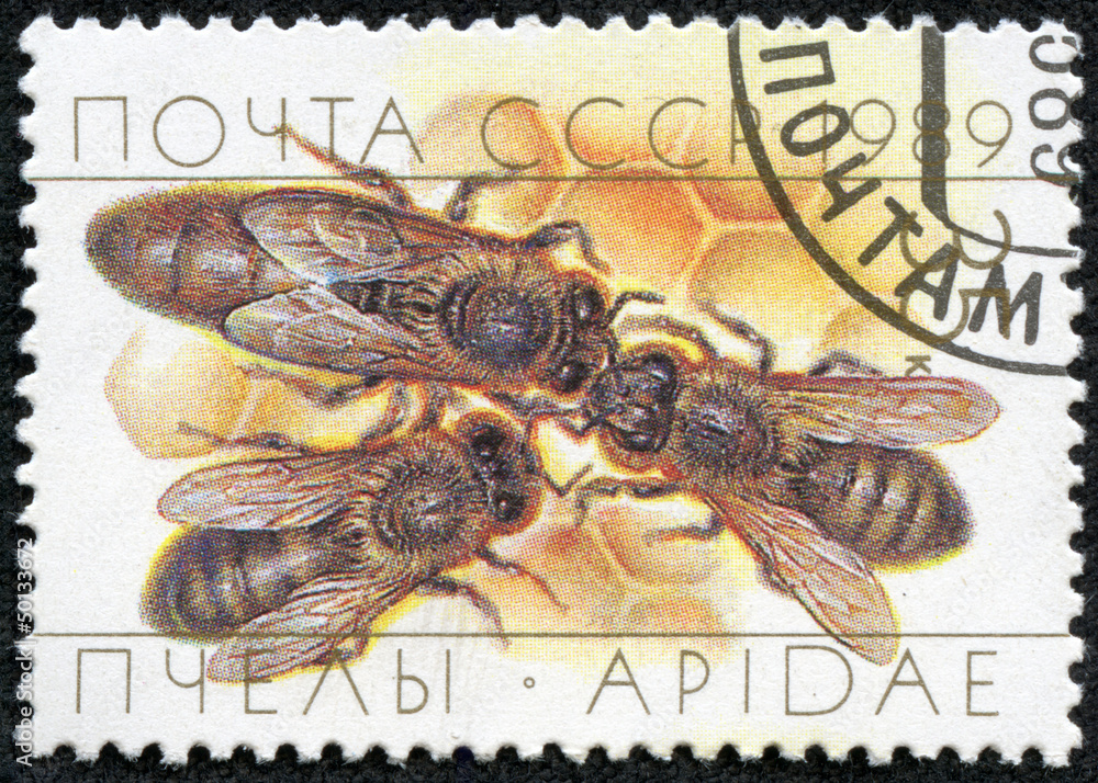 stamp printed in the USSR shows a queen bee with two drones