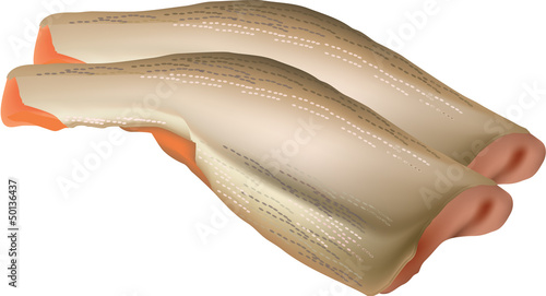 trota pulita