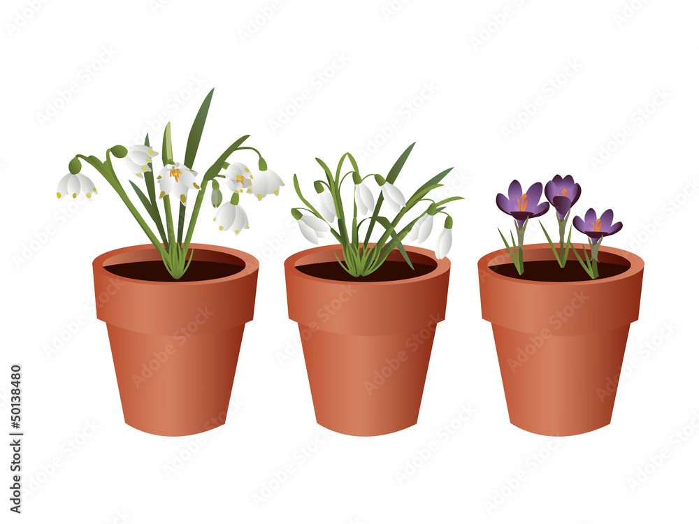 Spring flowerpots